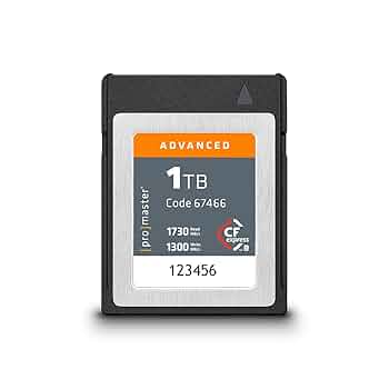 61E3Qi+4DWL._UF350,350_QL50_.jpg